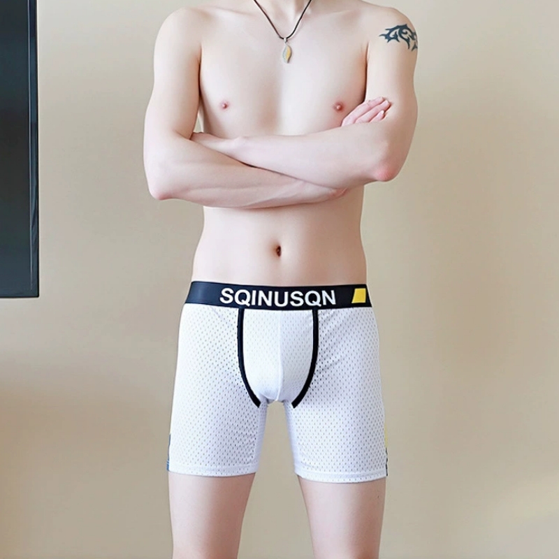 Calzoncillos Boxer de Malla de - Mesh Sport Boxer reseña y precio